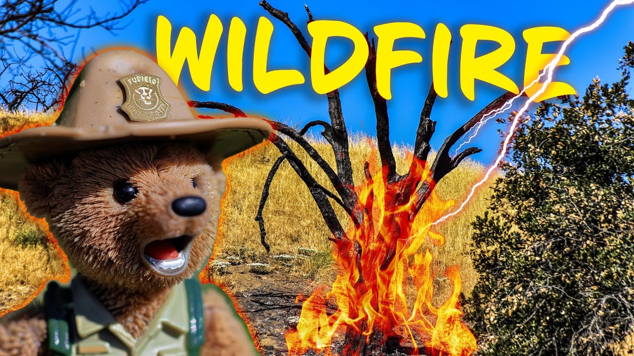 Wildfires: Causes & staying safe 🔥 Nature Earth Science
