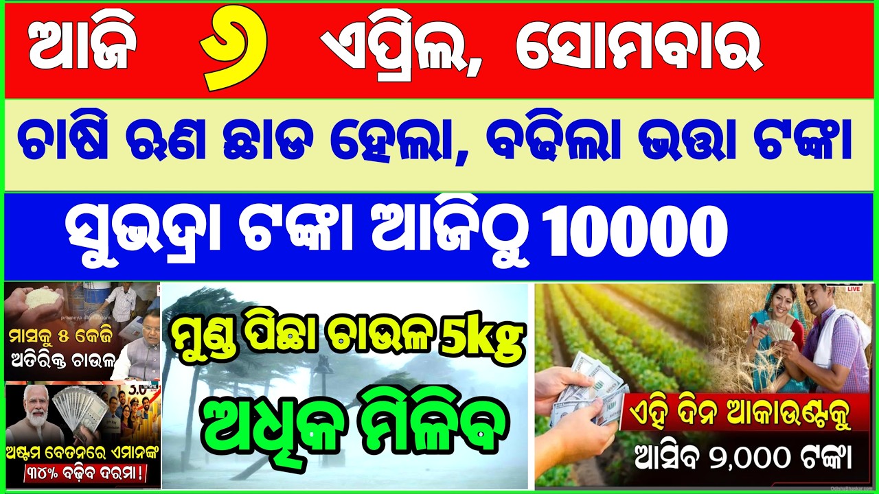 today's morning news odisha || Odia News | 6 April 2026 | CM Kisan |subhadra yojana online apply