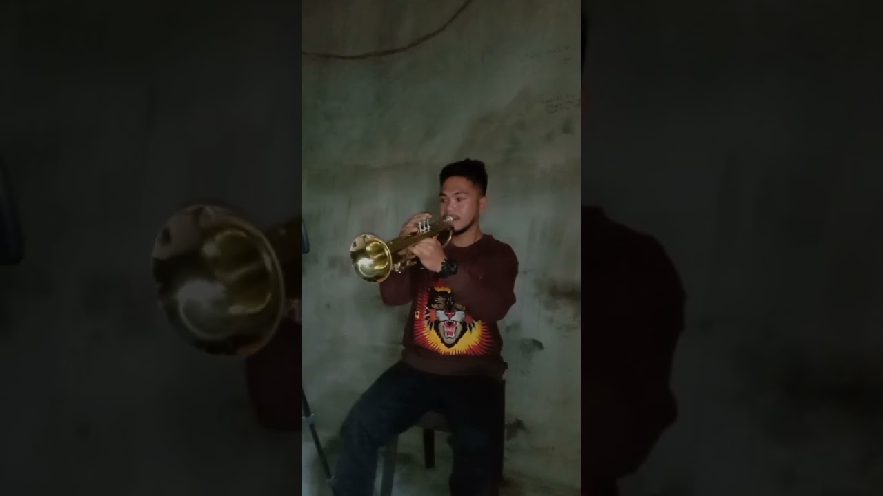The Old Rugged Cross - George Bennard || Trumpet Song Cover 🎺