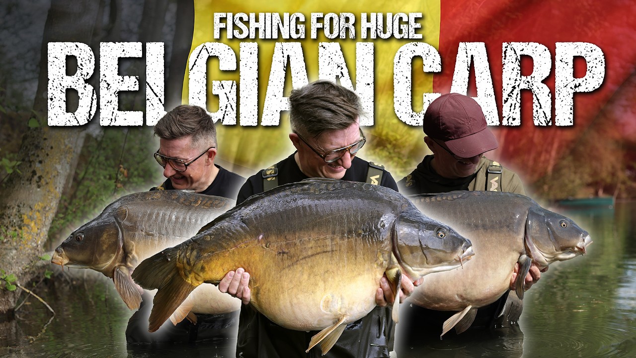 Дэнни Фэйрбрасс возвращается на Carp Arena! Ловля огромного бельгийского карпа | DF RAW 002 @KordaTV