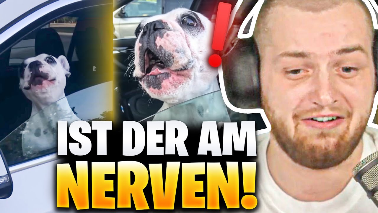 😂😍NEUE WITZIGE DAILY DOSE Clips REAKTION! | Trymacs Stream Highlights