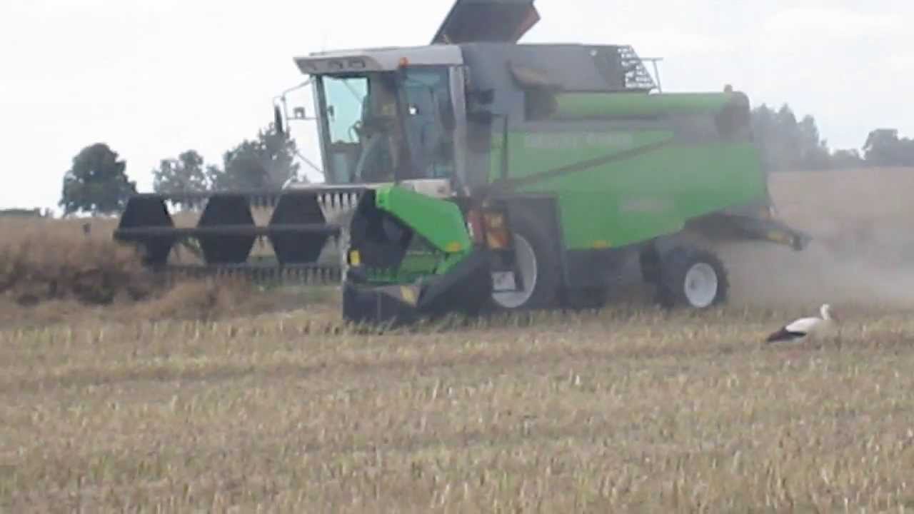 Żniwa rzepakowe 2013 Deutz Fahr 5485ht & Bizon ZO56