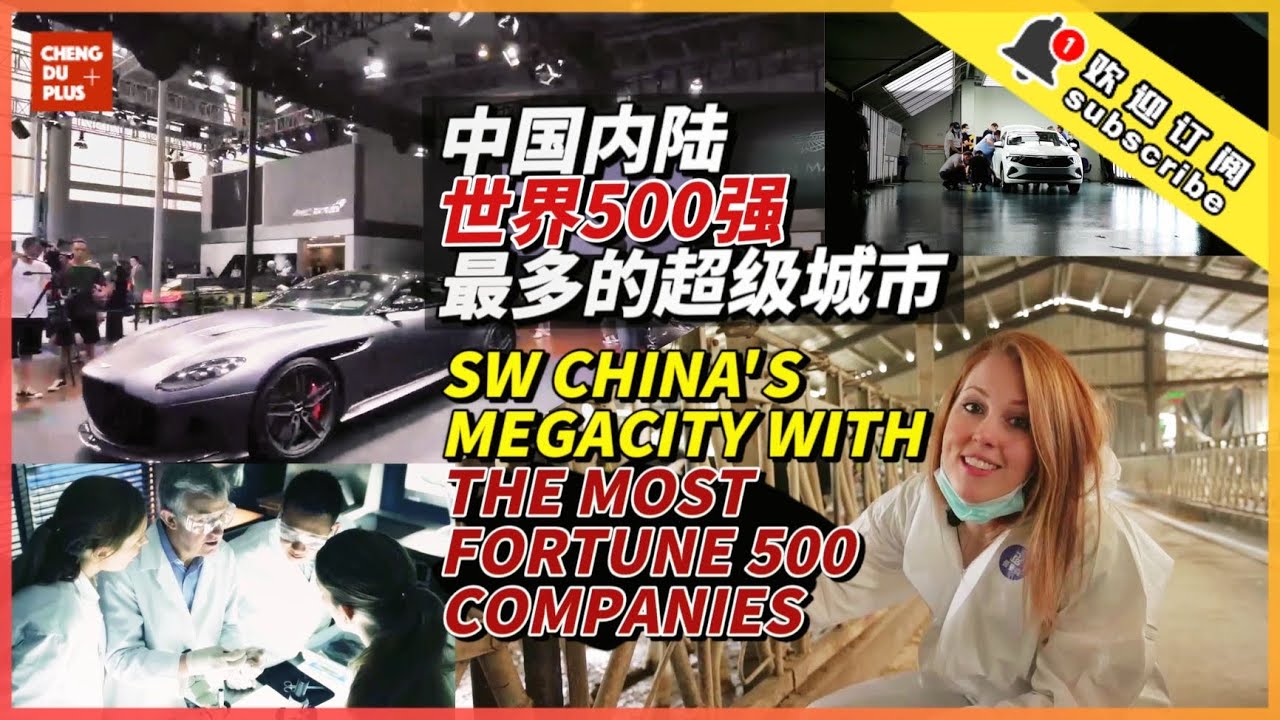 Why Do Fortune 500 Prefer This Chinese City? A Look into Their Development in China. |Chengdu Plus