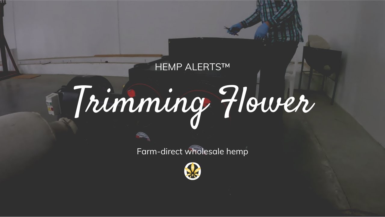 Man and Machine &ndash; Hemp Alerts January 27, 2020