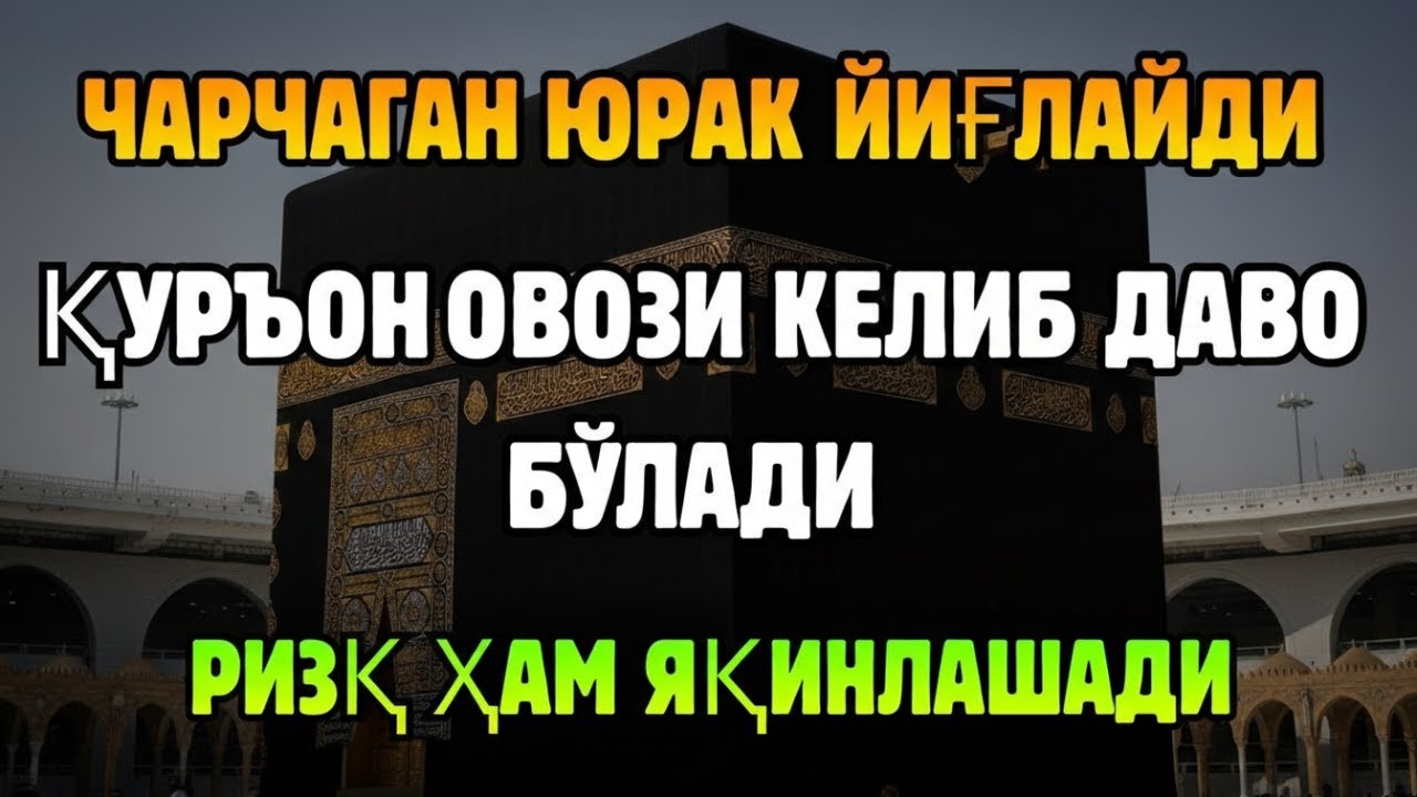 МЎЪЖИЗАВИЙ! Қуръон ҳаётнинг ҳар томонидан фаровон ризқ очади