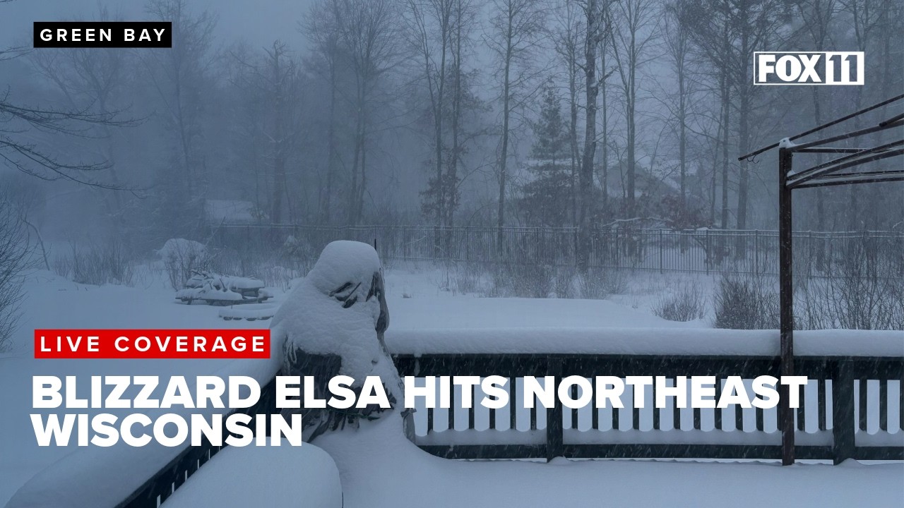 Blizzard Elsa update