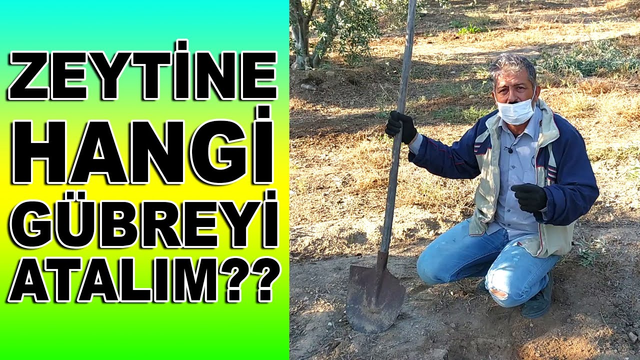 Toprak ve Yaprak Numunesi Nasıl Alınır? || Toprak ve Yaprak Analizinin Önemi!!