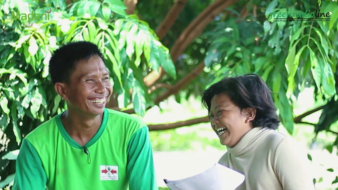 Menanam Sawit atau Menanam Sayuran, Mana Lebih Untung? Kisah Pak Suryono