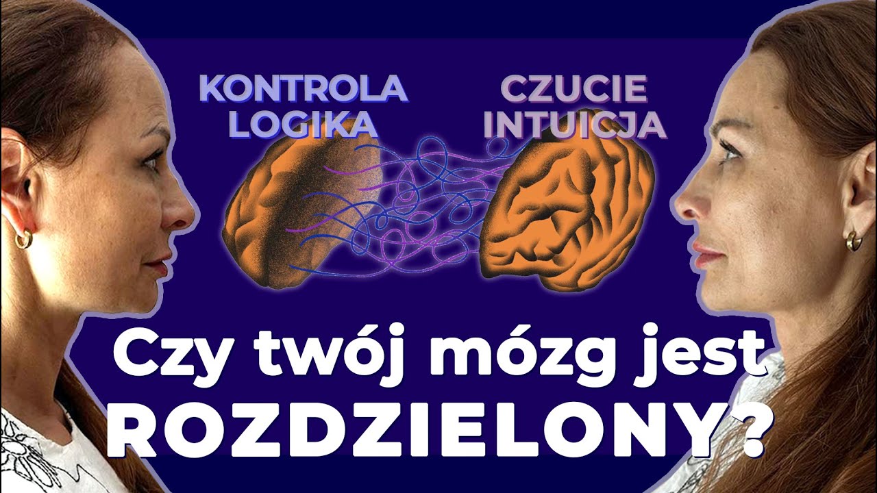 Prawa p&oacute;łkula &ndash; ZAGINIONY KLUCZ do życia w harmonii