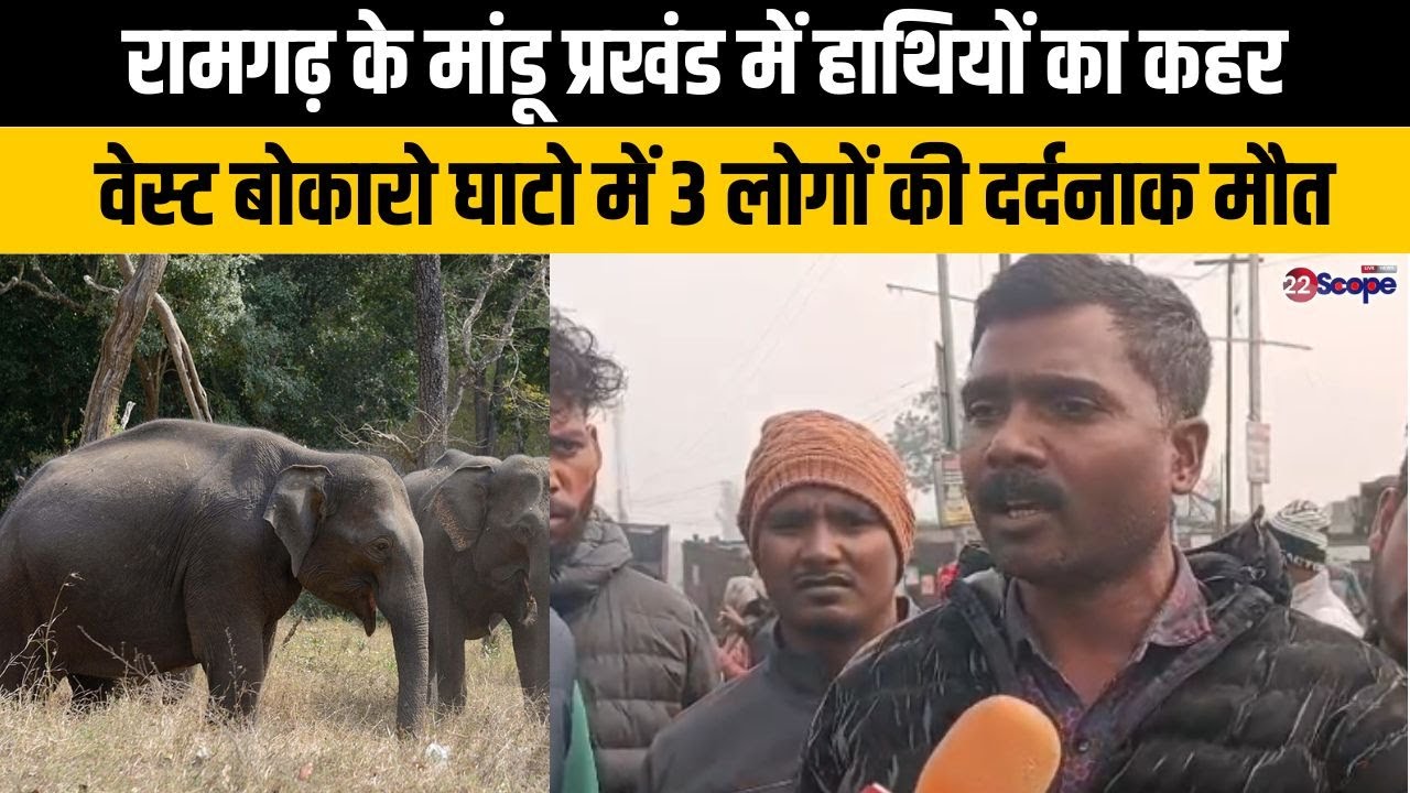 रामगढ़ के मांडू प्रखंड में हाथियों का कहर, वेस्ट बोकारो घाटो में 3 लोगों की दर्दनाक मौत