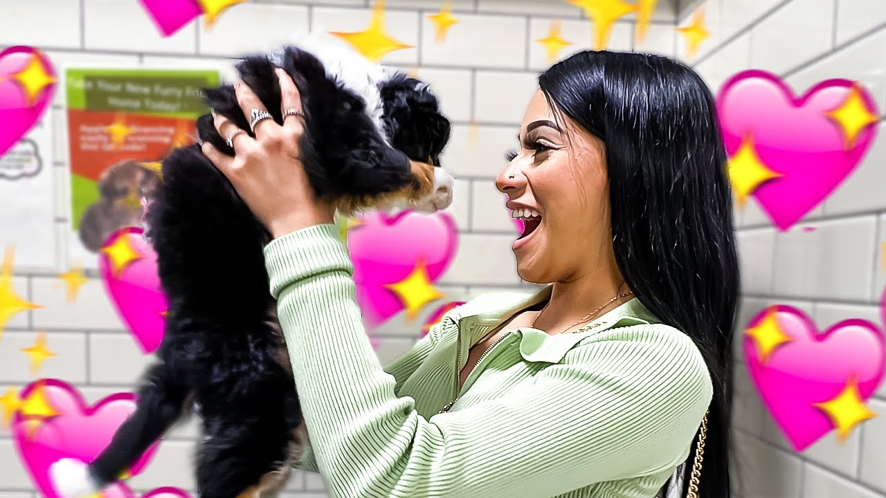 WE SHOPPED FOR EXPENSIVE PUPPIES ! ($6,400)