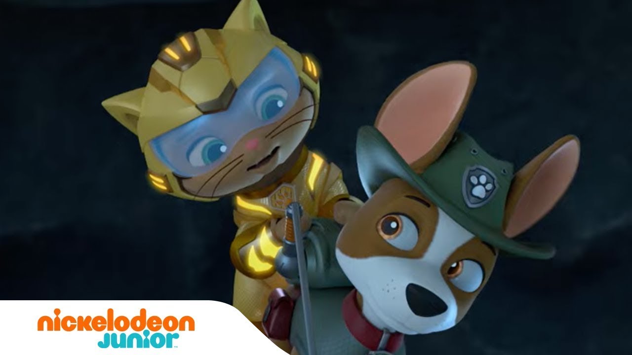 Pat’Patrouille : Sauvetages dans la jungle avec Tracker | Compilation de 15 minutes | Nickelodeon Jr