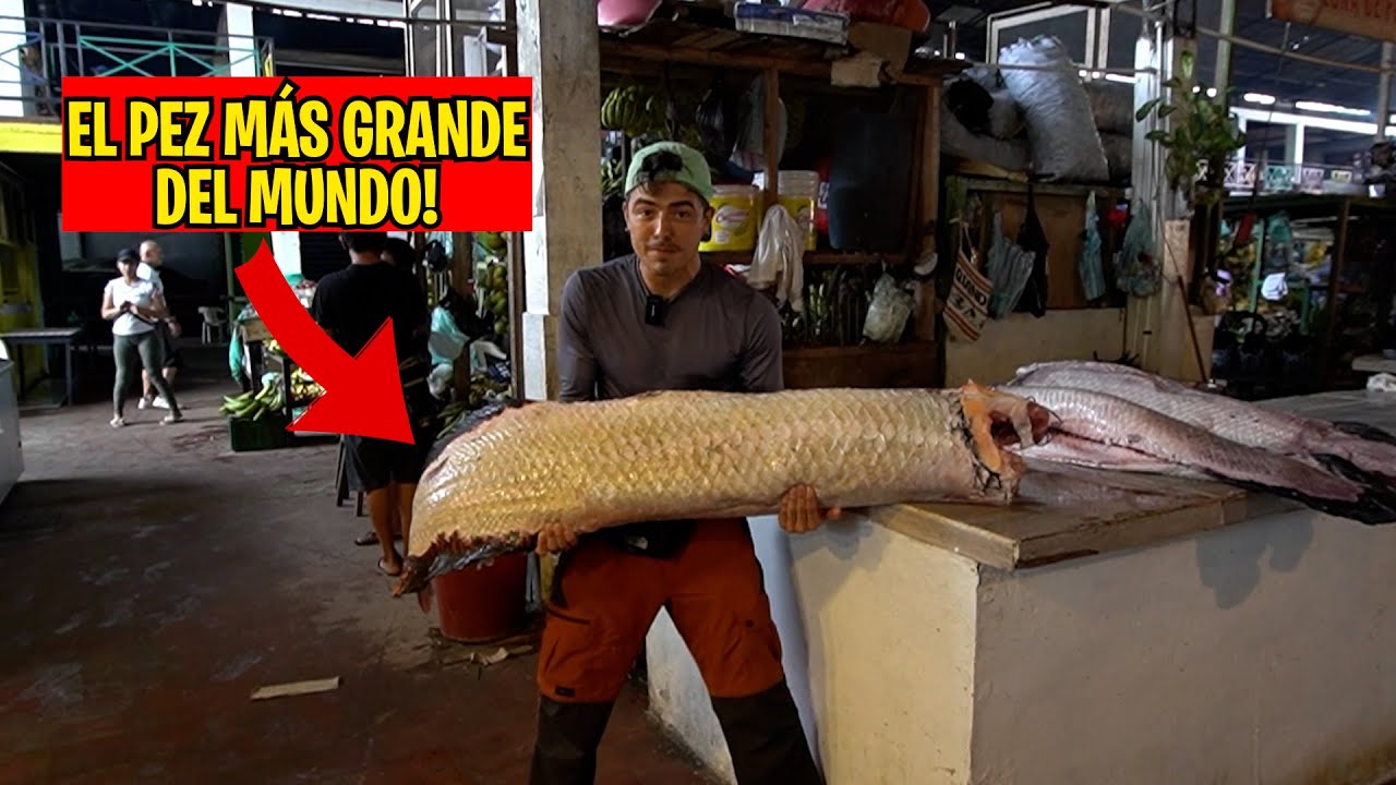 ASÍ es un MERCADO en el AMAZONAS