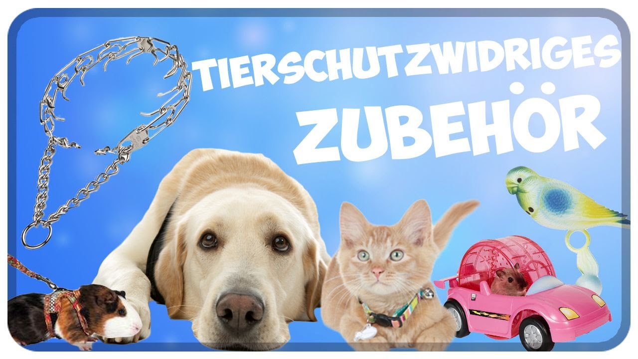 Tierschutzwidriges Haustierzubehör! Ungeeignetes Zubehör für Haustiere!