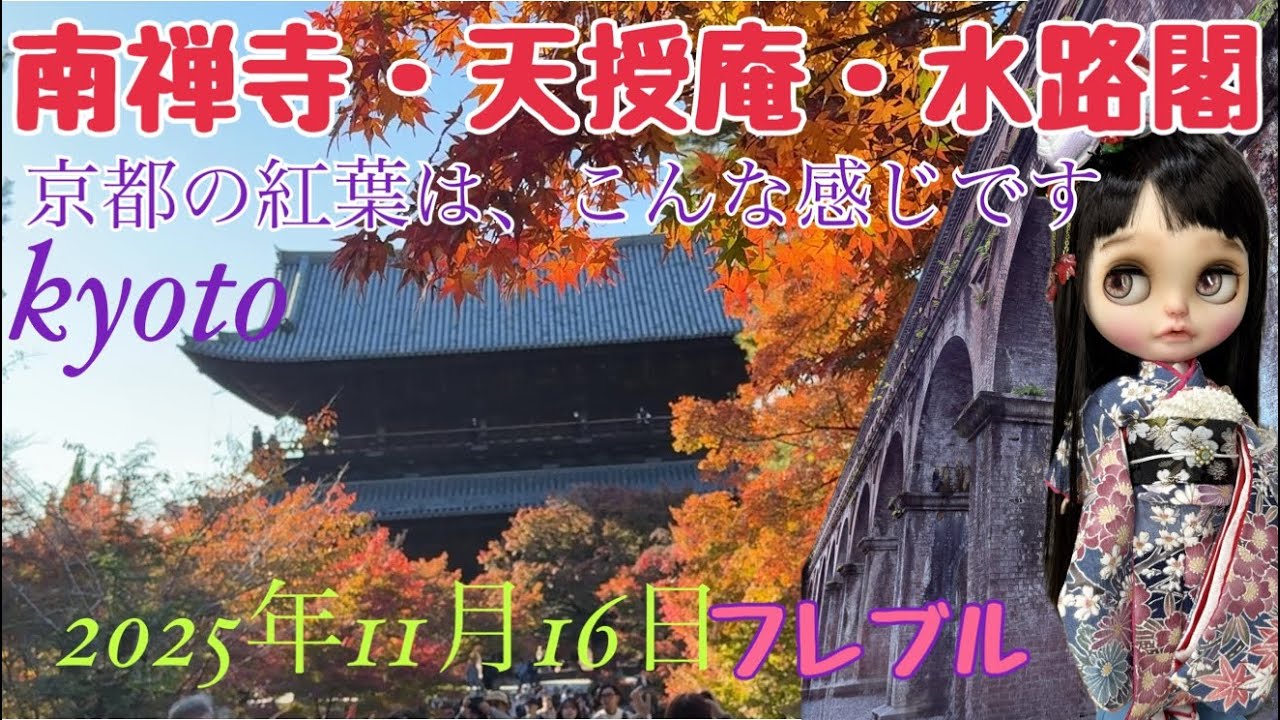 kyoto 【南禅寺・天授庵・水路閣】天授庵🍁見頃です🍁2025年11月16日 🍁京都の紅葉はこんな感じ💁‍♀️です