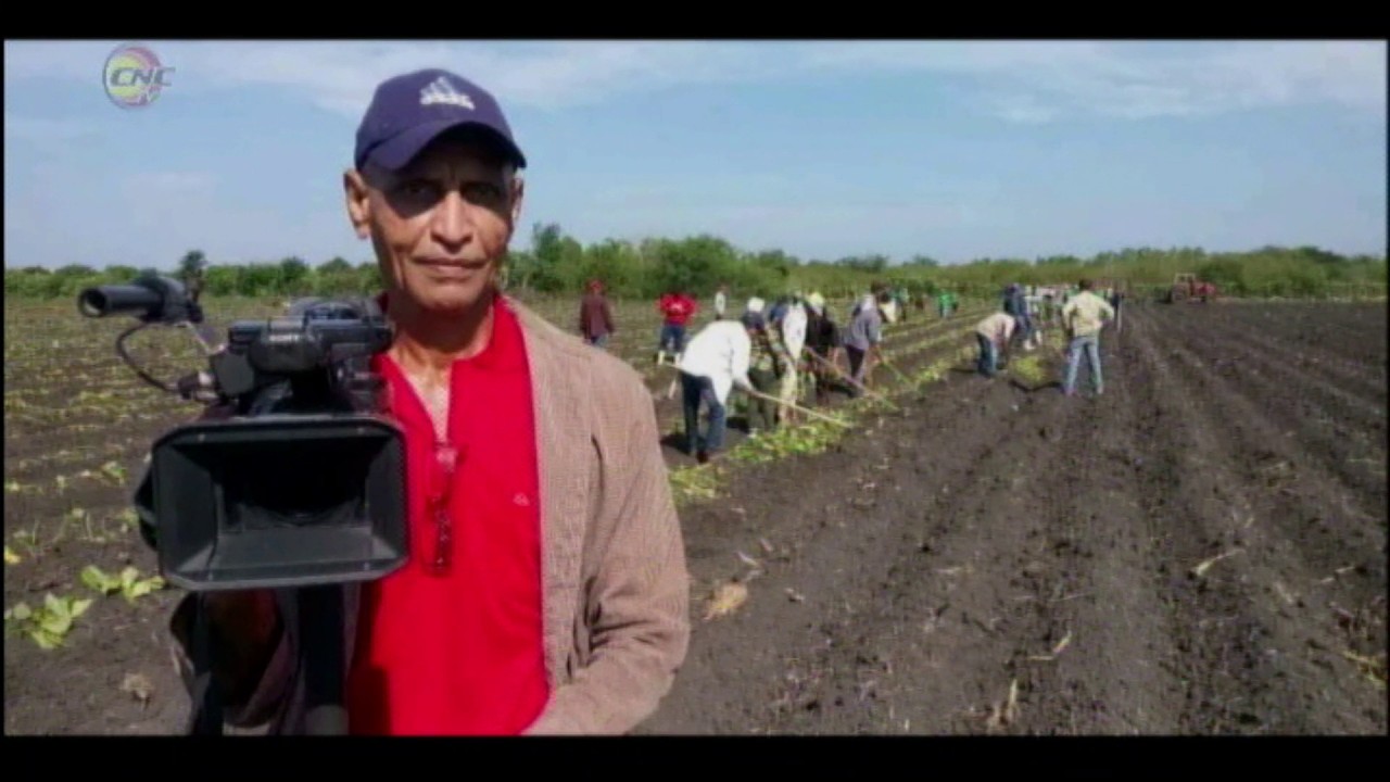 Fragmento Programa Frecuencia 12: Reconocen labor de Arelis Alarcón, camarógrafo CNC TV Granma.