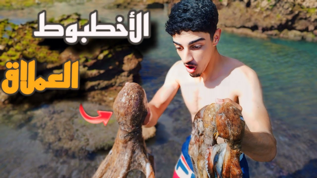 تحدي الصيد:صيد الاخطبوط العملاق في الصحراي حصيلة غير متوقعة