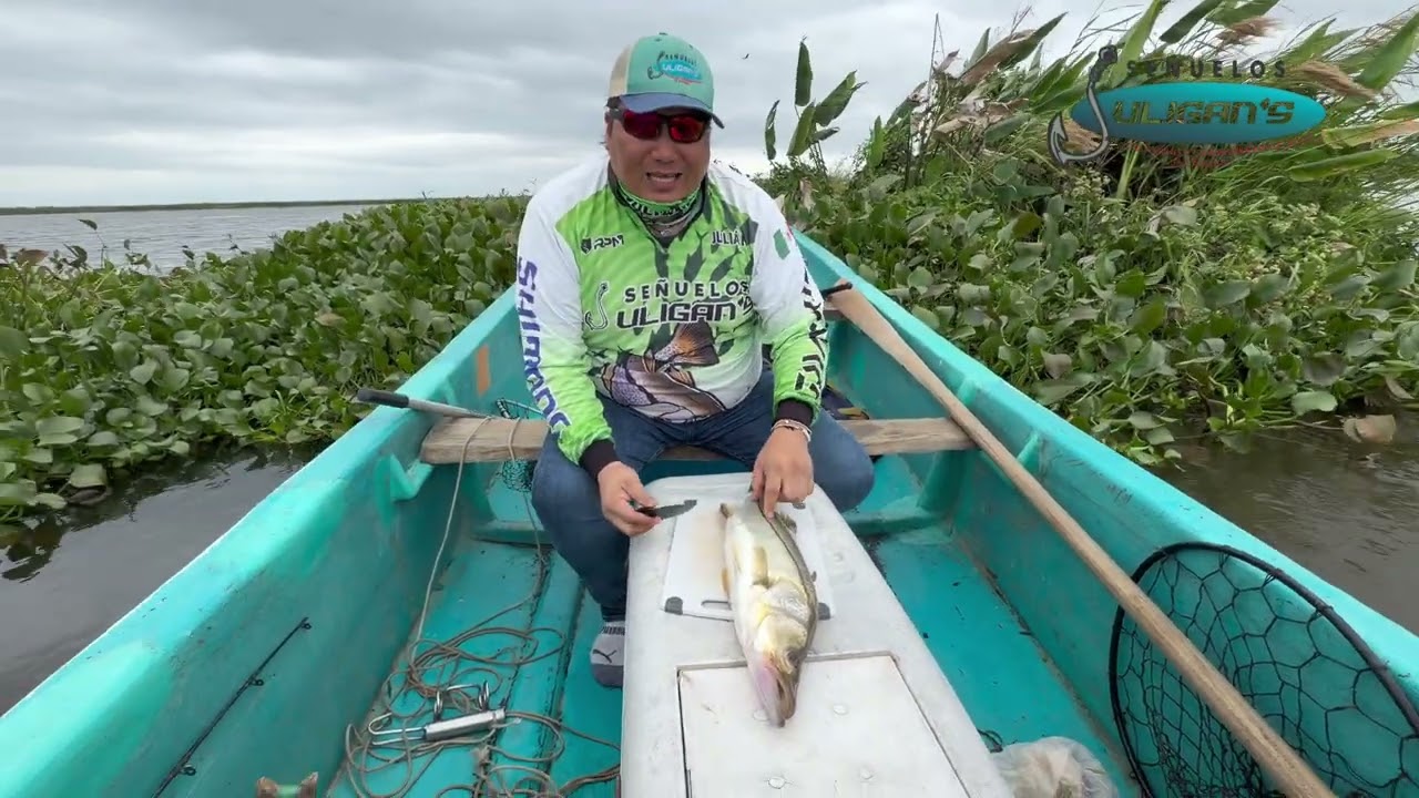 PESCANDO Y COCINANDO UN RICO SASHIMI