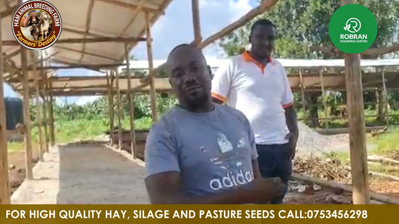 Feedlot construction and the 3 pillars which are key to Livestock production by Brian and Hamiisi
