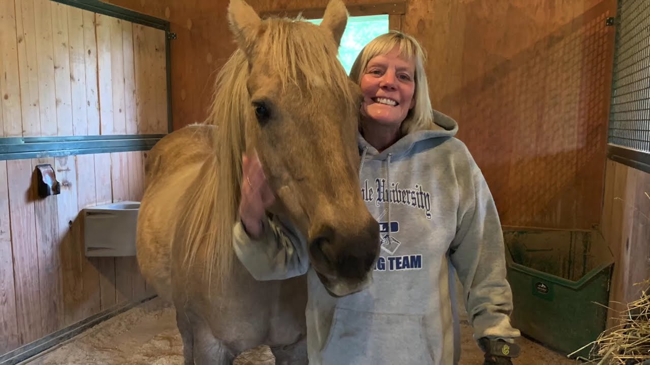 In Memory of Rocky the Wonderhorse