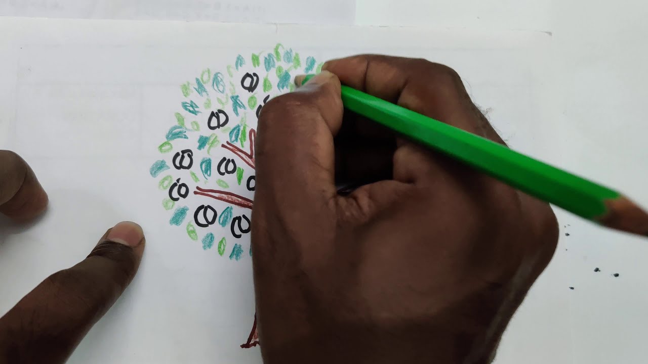 How to draw apricot tree