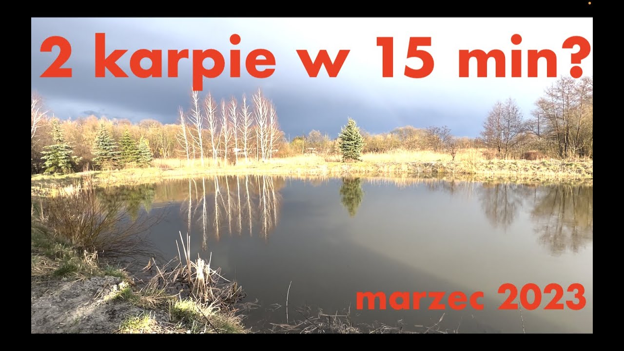 Na co łowić Karpie wiosną? Method Feeder vs Feeder klasyczny na stawie. Wędkarstwo 2023 marzec