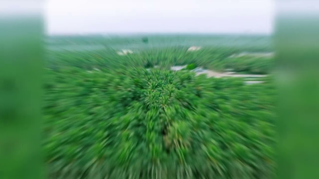 قرية الحوطة