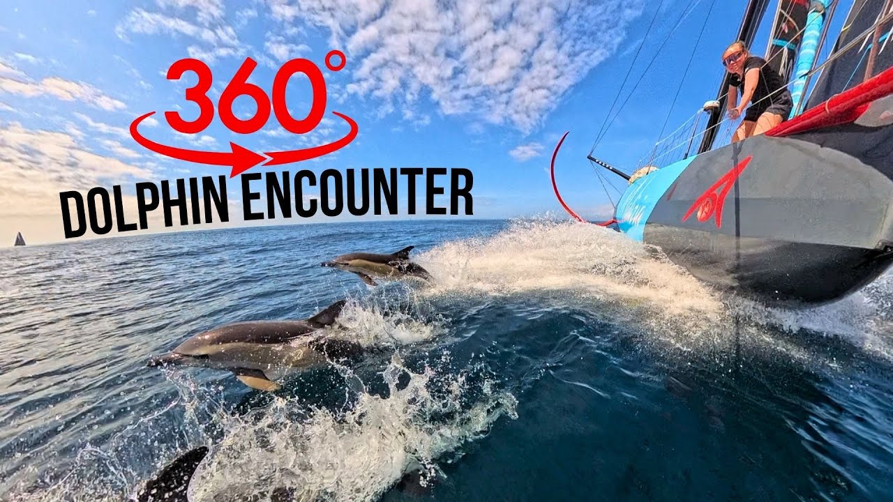 360&deg; Dolphin Encounter with Team Malizia!