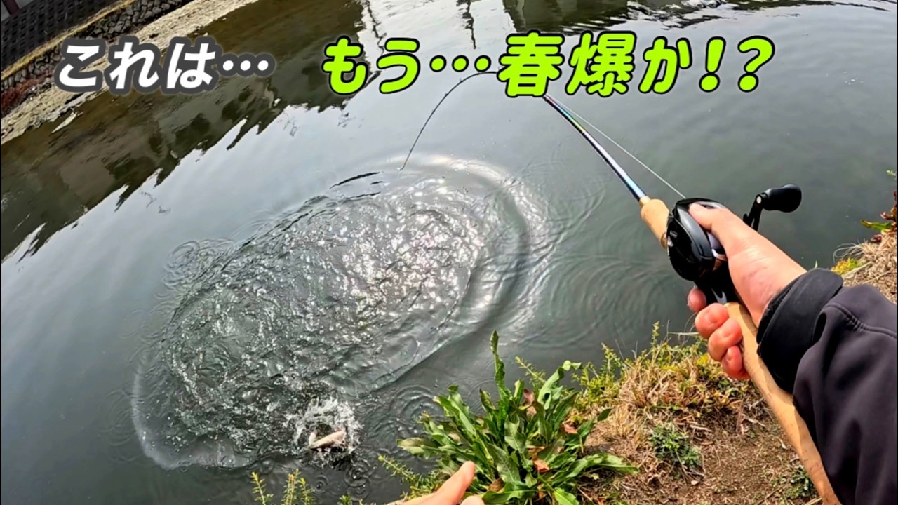 冬は終わりました‼︎今年の春爆ナマズ！お待たせしました。NEWポトラッシュ試投でとんでもないナマズの反応でした！