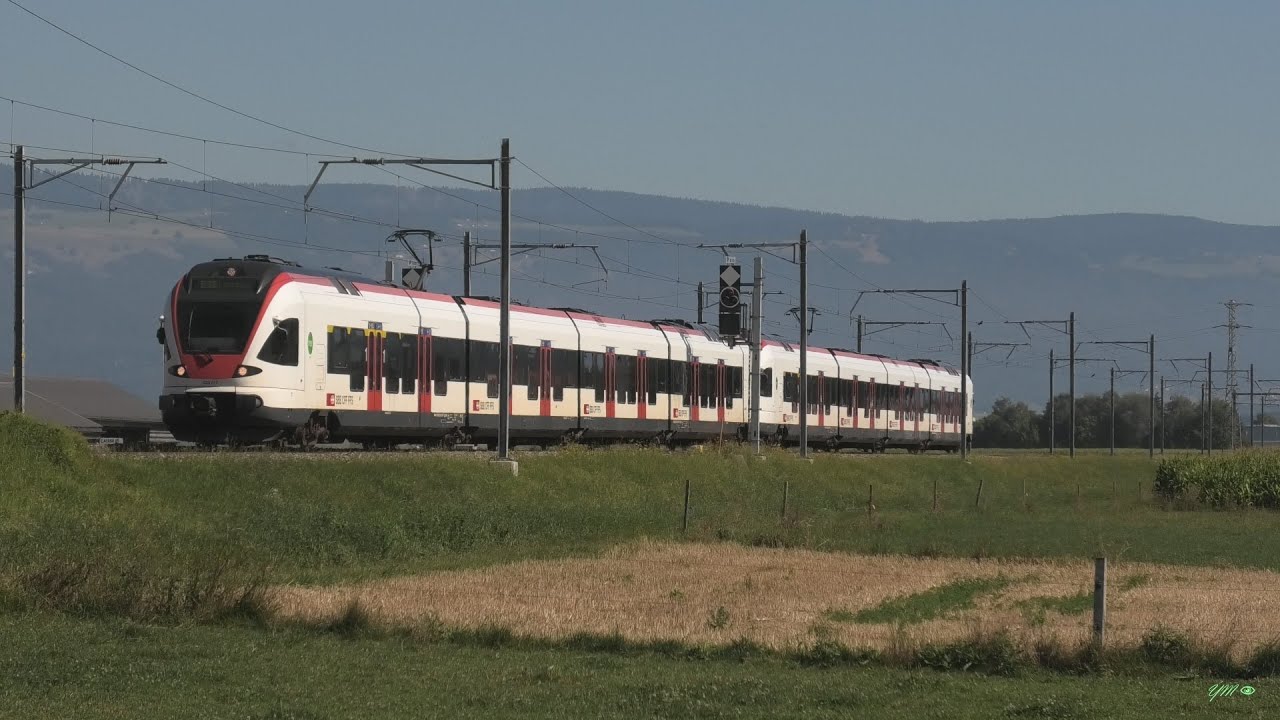 SBB CFF FFS | Rames automotrices RABe 521, RABe 523 | FLIRT | Chemins de fer Fédéraux