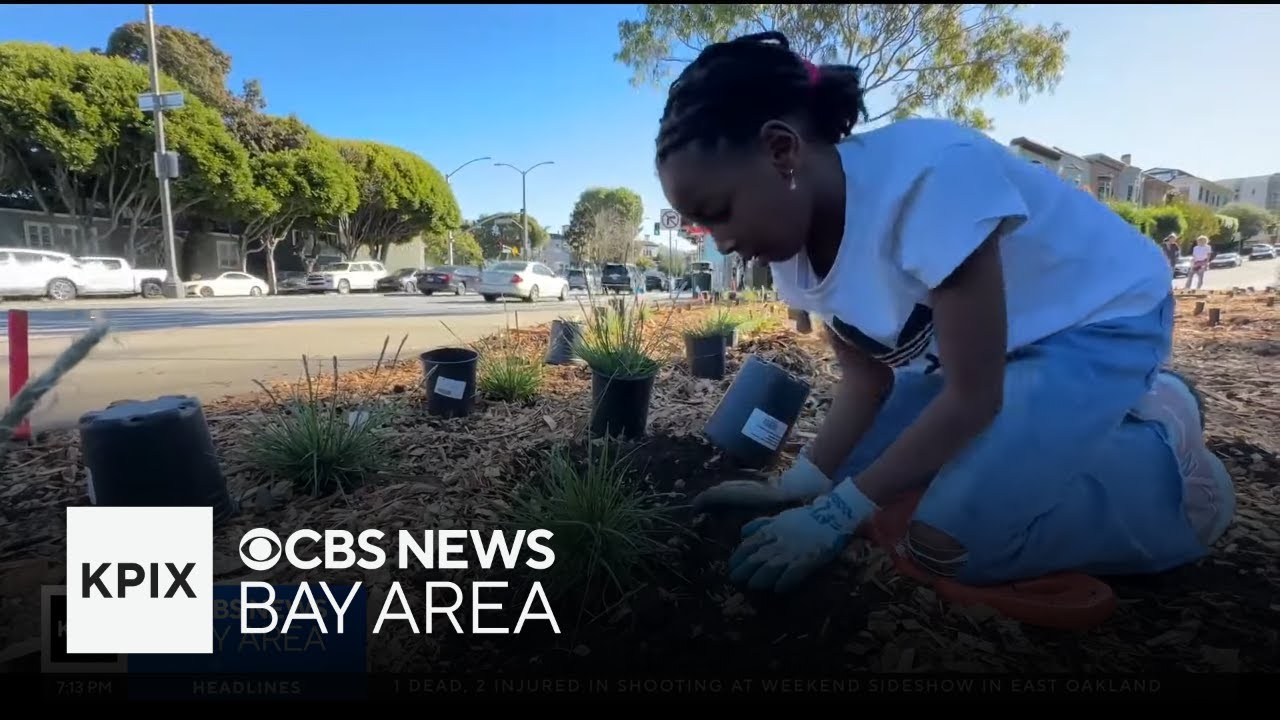 San Francisco residents volunteering for programs to beautify neighborhoods