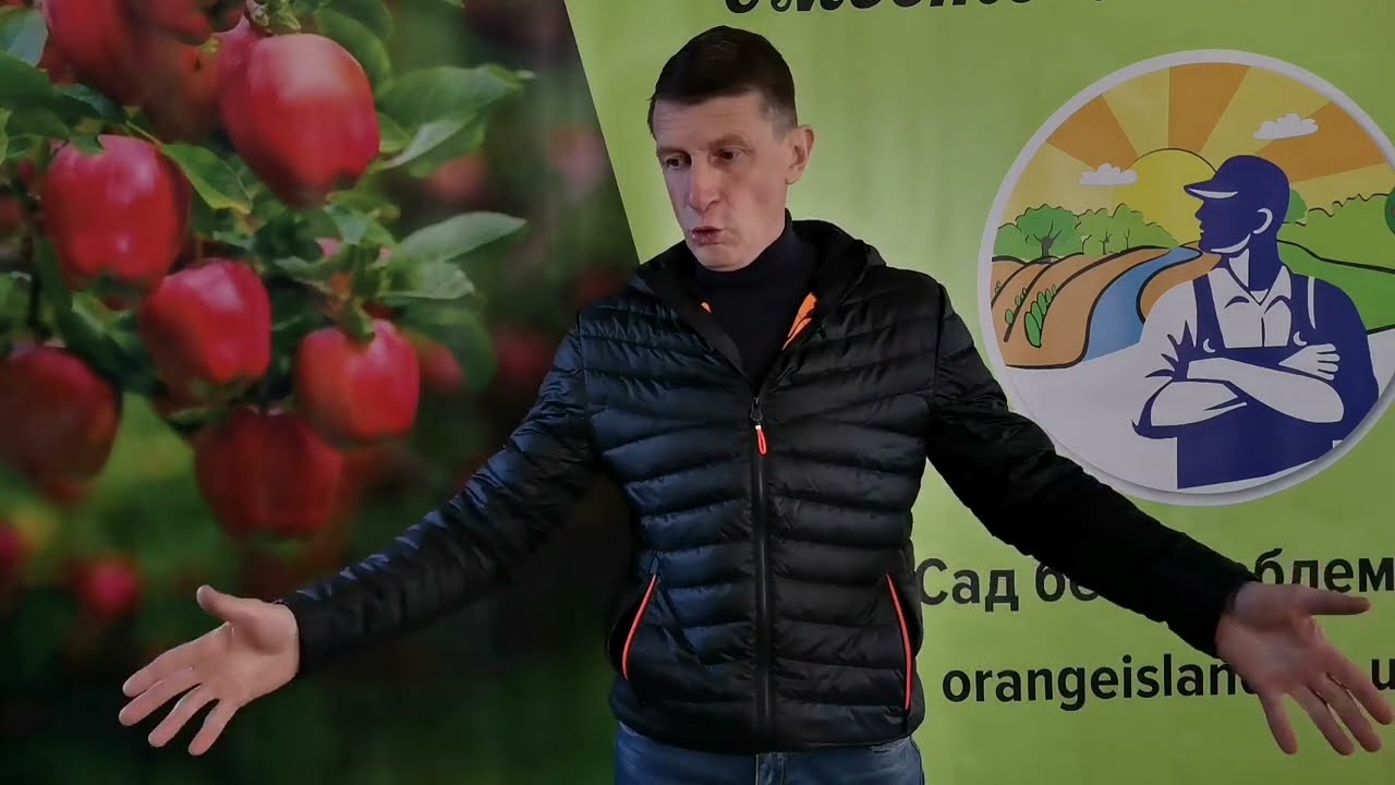 После посадки саженцев, это надо сделать обязательно.