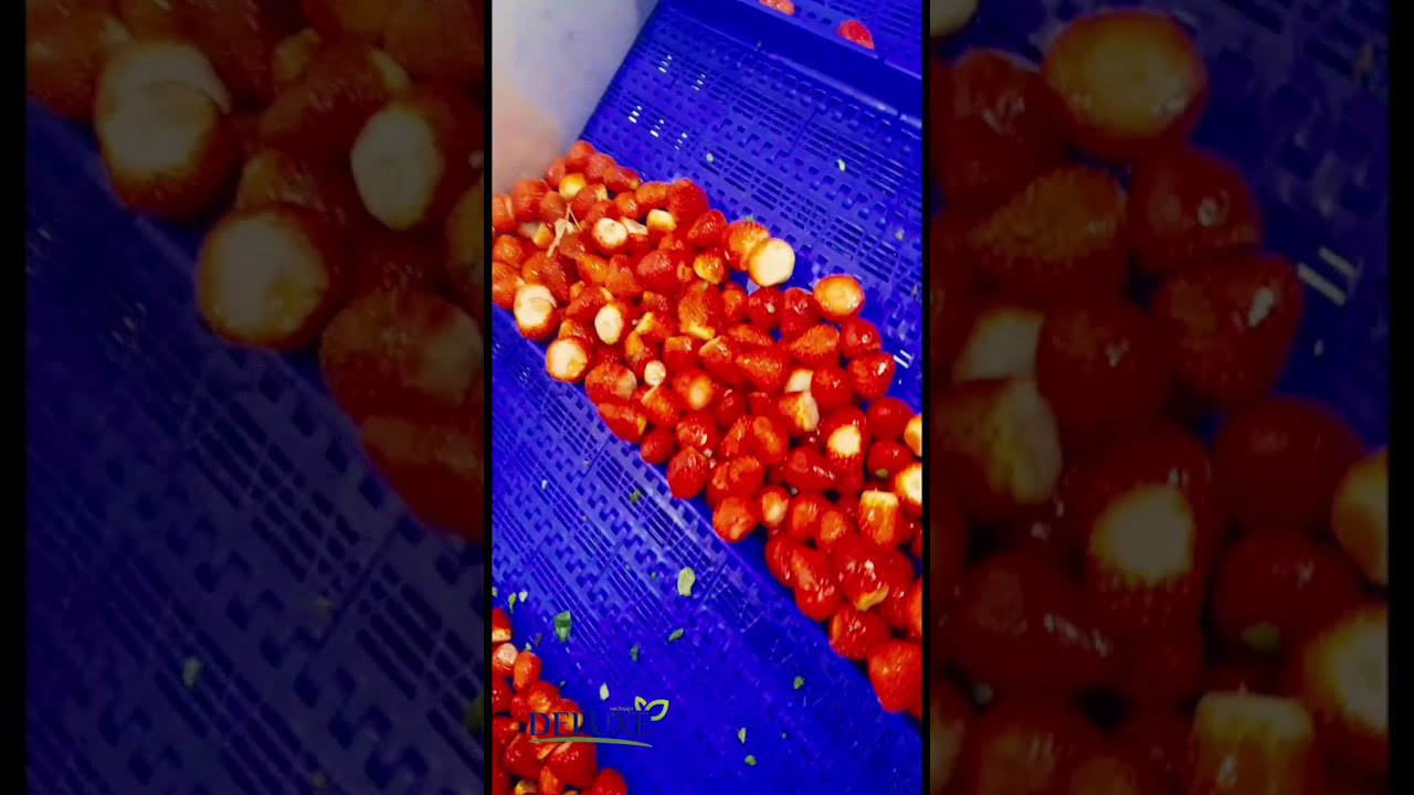 Deluxe Frozen IQF strawberry From Egypt ديلوكس فراولة مجمده من مصر