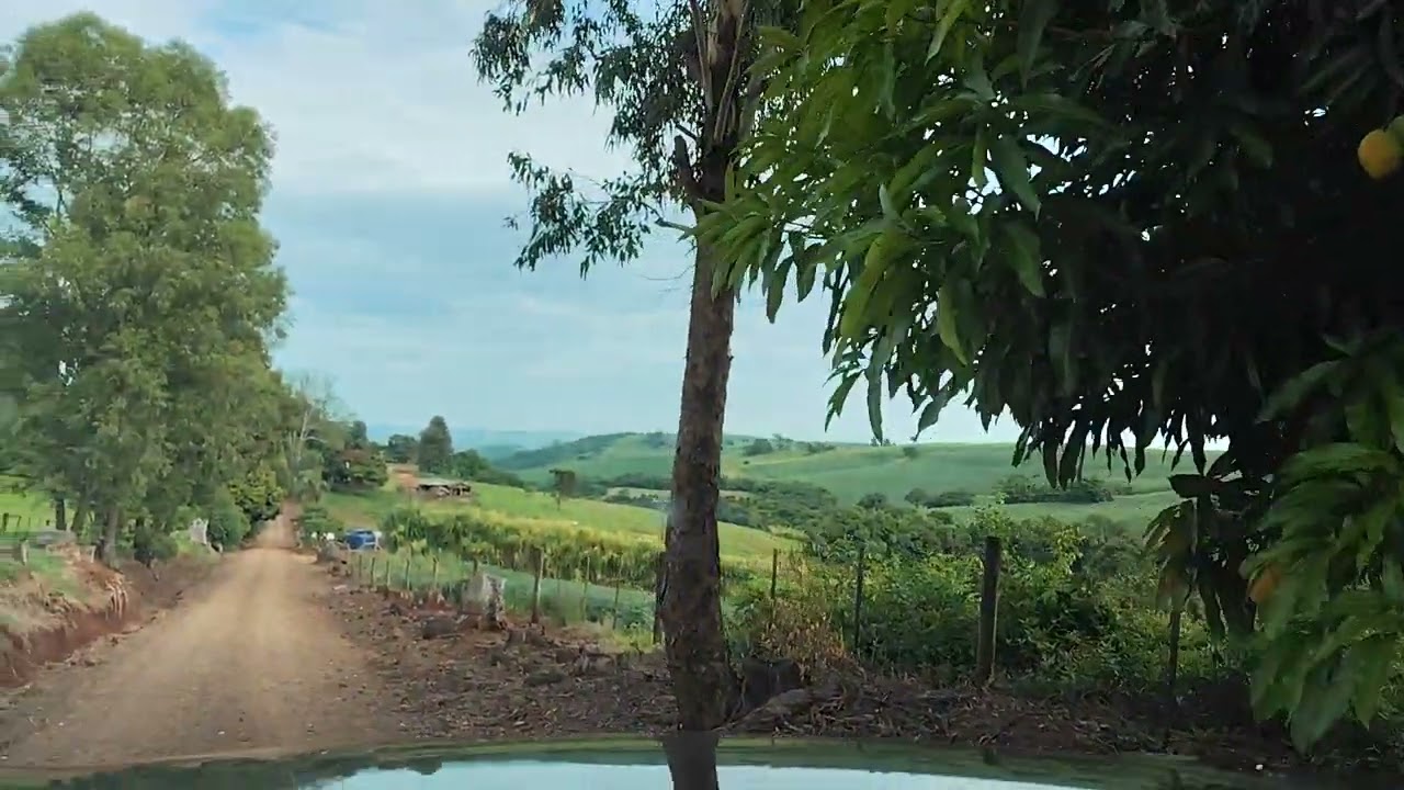 Borrazópolis -Pr ..Guararema 
