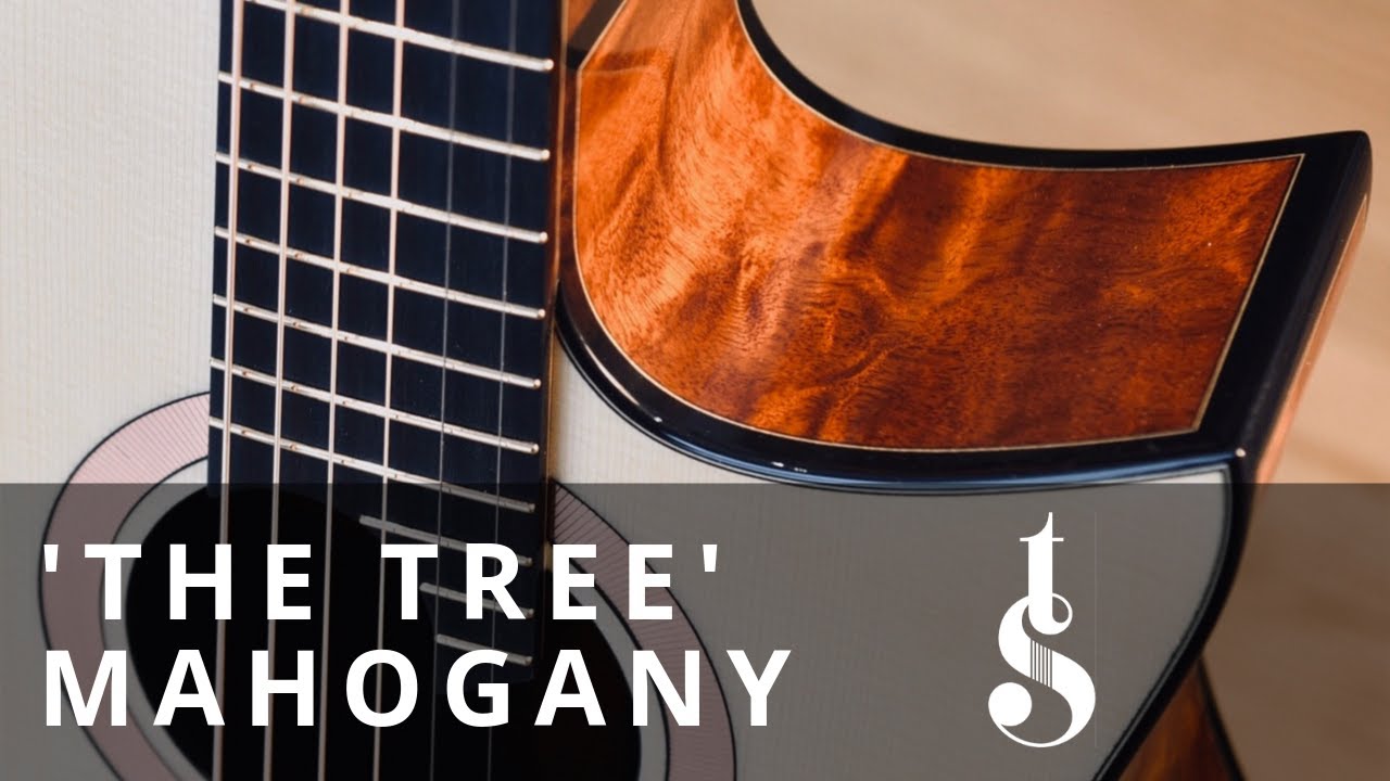 'Reeds on Taihu Lake' by Will McNicol - Tom Sands Guitars