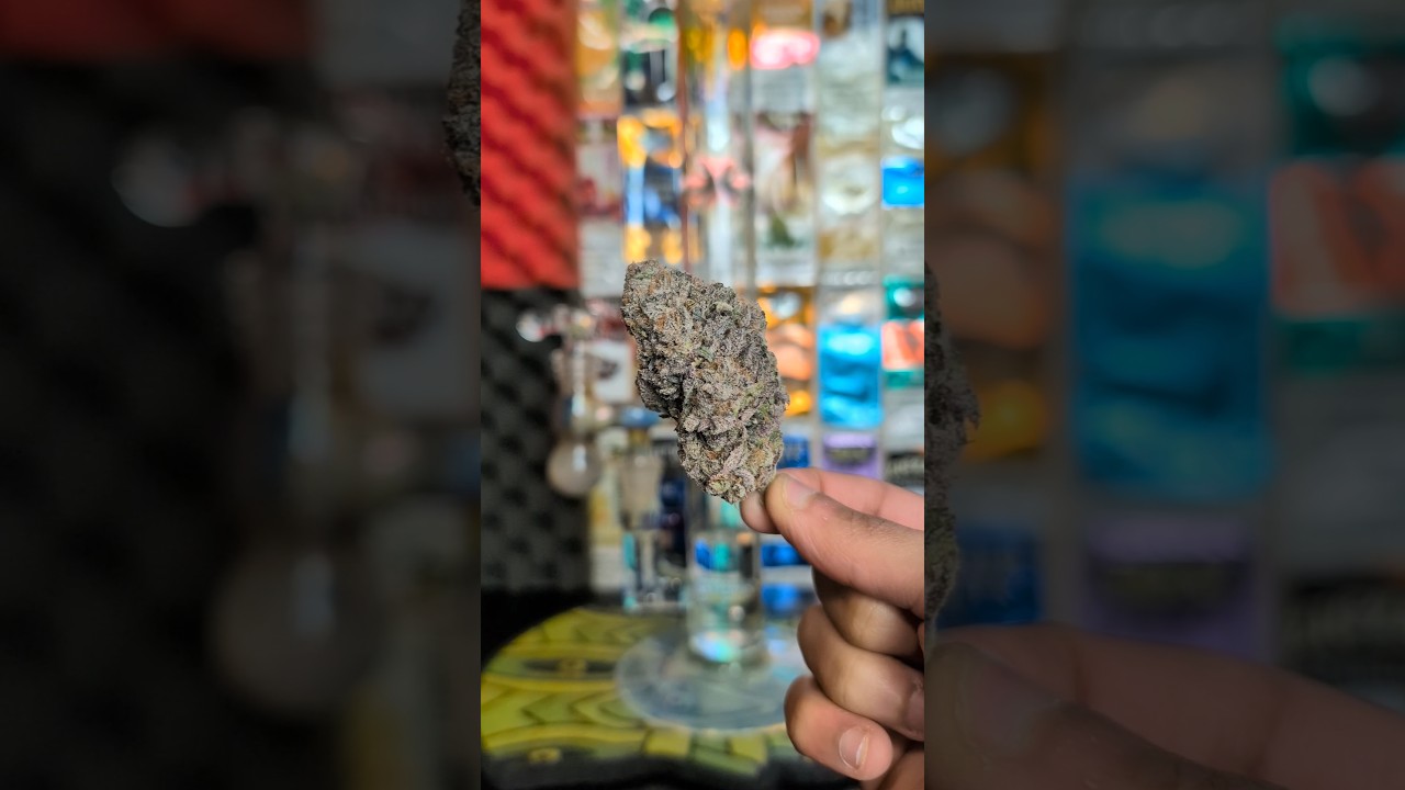 JEALOUSY BONG RIP 🔥 #cheers #420 #review