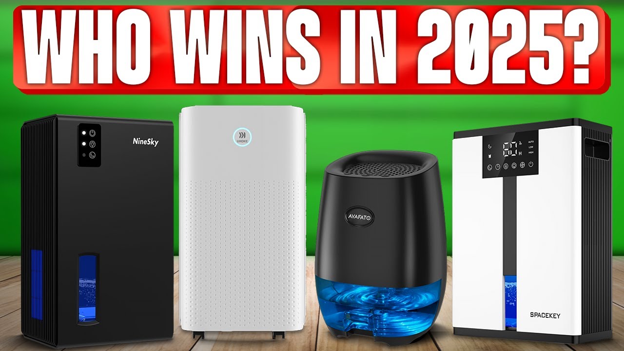 TOP 5 Best Dehumidifiers 2025