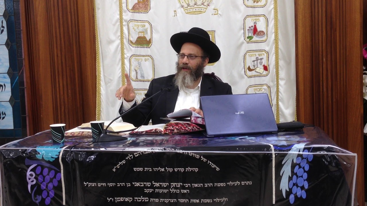 פרשת נח: מי הם 