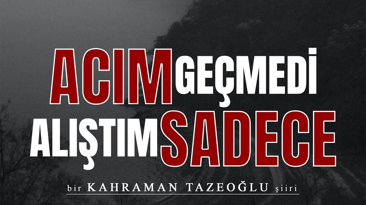 Emre Özdemir - Acım Geçmedi Alıştım Sadece