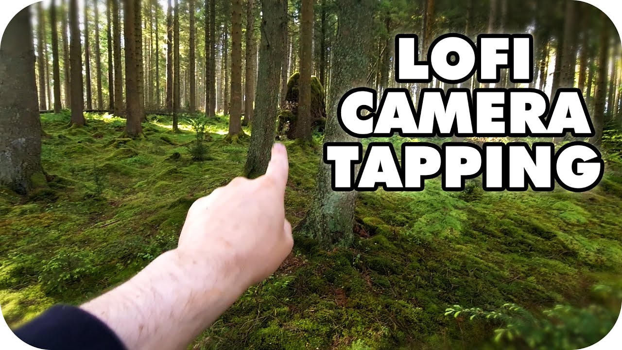 ASMR LoFi Build Up Camera Tapping Outdoors Clicky Mouth Sounds Wet Pebbles Moss Trees Water