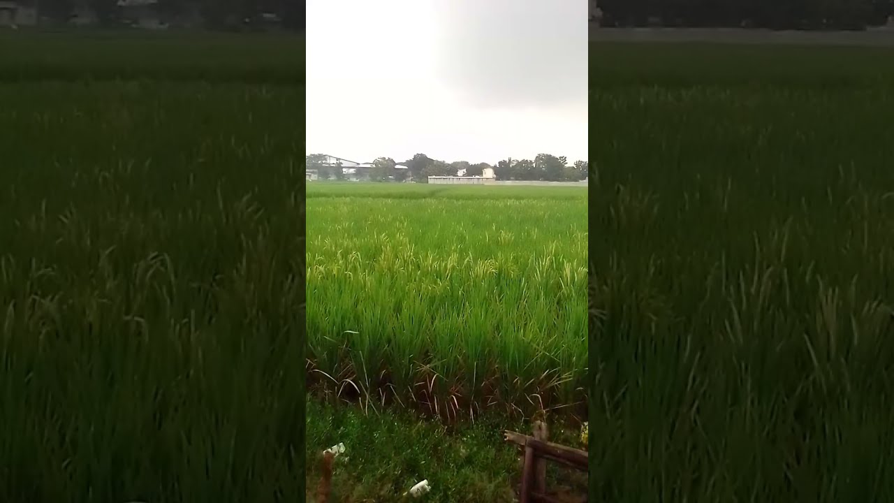 Senja Tenang di Iringi Gerimis 
