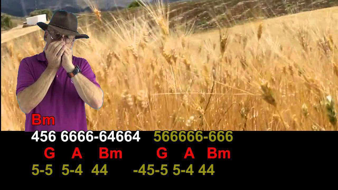 nº 264  Fields of Gold ( Sting ) tablatura armo diato ( D )+ chords guitar mundharmonika
