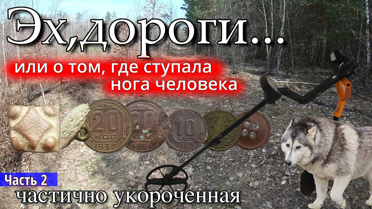 Поиск на старой лесной дороге. Часть 2.