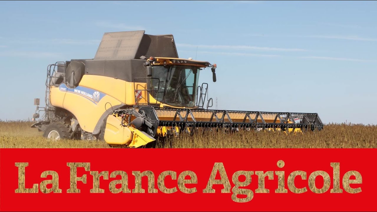 « J’ai adapté ma moissonneuse pour le chanvre »