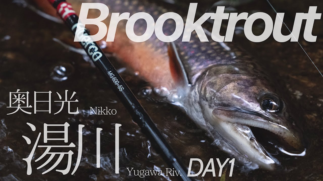 ＃01 ブルックトラウトと湯川を歩く〜トラウトフィッシングの聖地・奥日光湯川の釣り〜