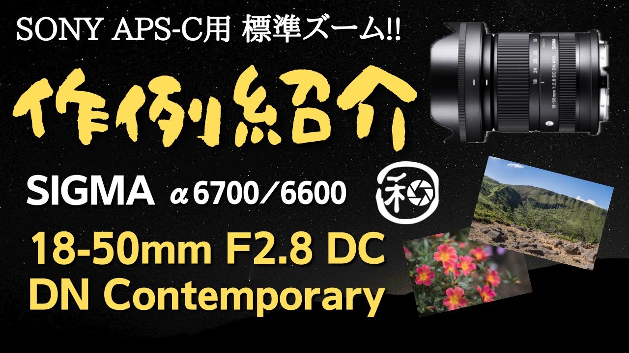SIGMA 18-50mm F2.8 DC DN α6700での作例を紹介します!!  解像力とボケ味やいかに!?【SONY APS-C ズームレンズ Contemporary】