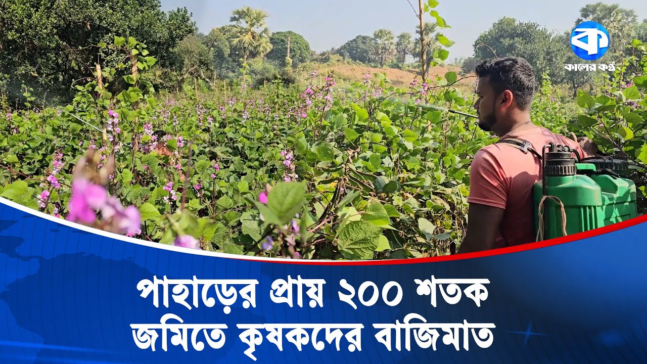কুমিল্লার লালমাই পাহাড়ে প্রায় ২০০ শতক জমিতে সবজির বাম্পার ফলন | Lalmai Hills | Cumilla Vegetables