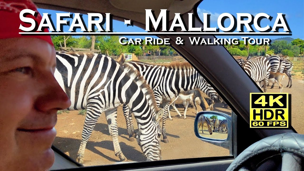 Safari Zoo Mallorca , Spain 4K 60fps HDR (UHD) Dolby Atmos 💖 Safari Car Ride and Walking Tour