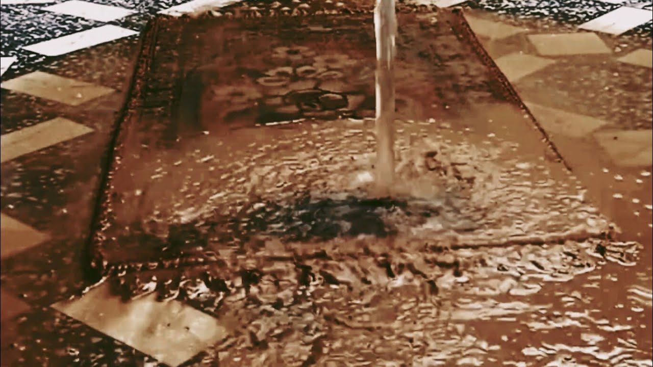 This Carpet Was Full of Mud, it Was Ruined | Until I did this! Satisfying ASMR Rug Cleaning ASMR