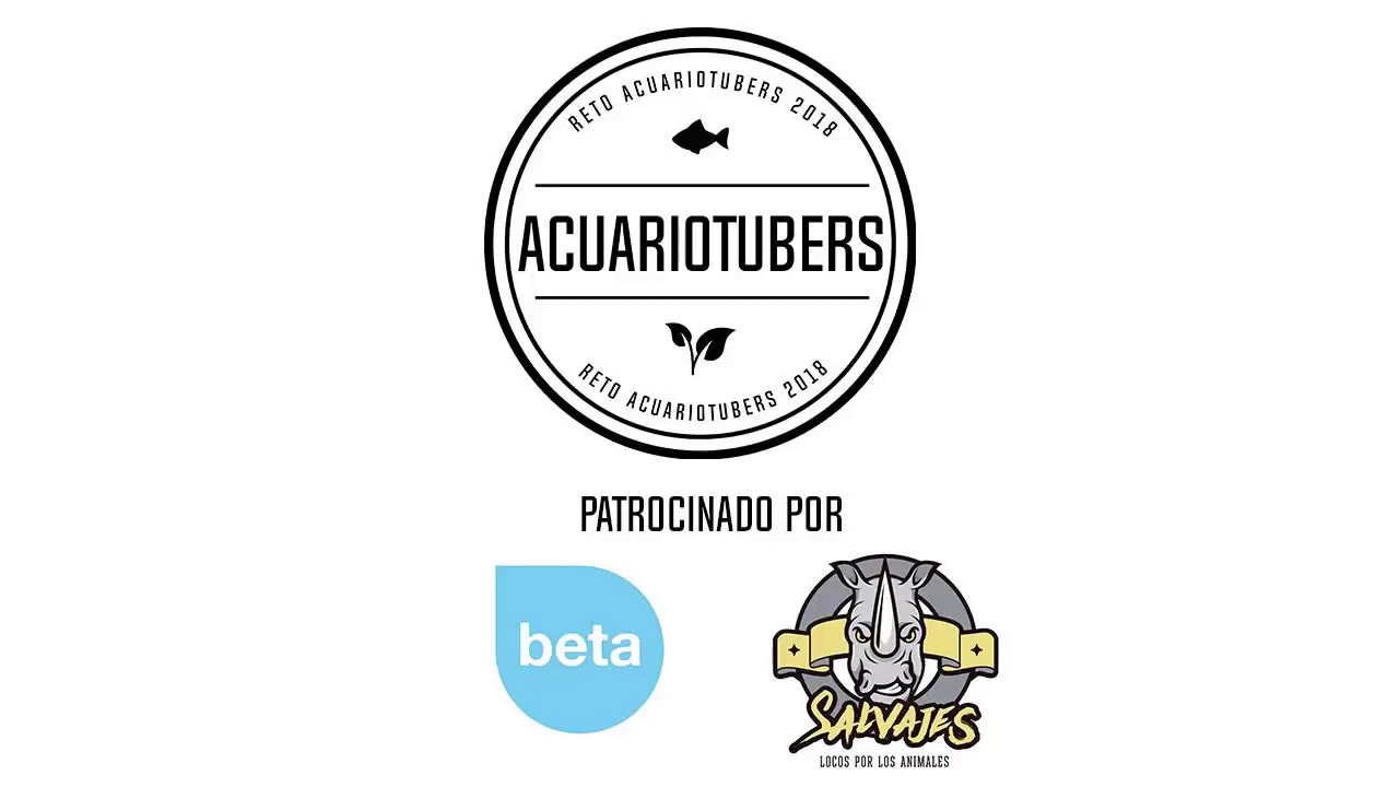 4 Mancos contra mi | RETO ACUARIOTUBERS 2018 | #TeamBcnStyle